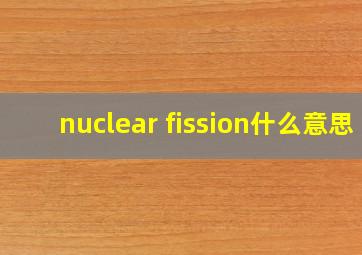 nuclear fission什么意思